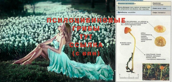 меф Бронницы