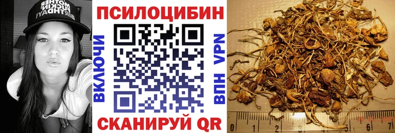 МЕГА маркетплейс  Грозный  Псилоцибиновые грибы ЛСД  хочу  
